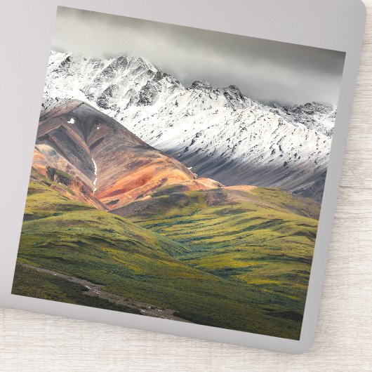 Polychrome-Berg, Denali NP, Alaska Aufkleber (Detail)