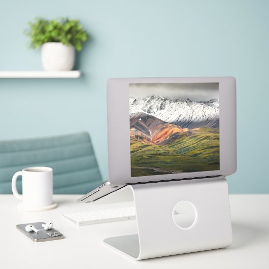 Polychrome-Berg, Denali NP, Alaska Aufkleber (Laptop auf Schreibtisch)