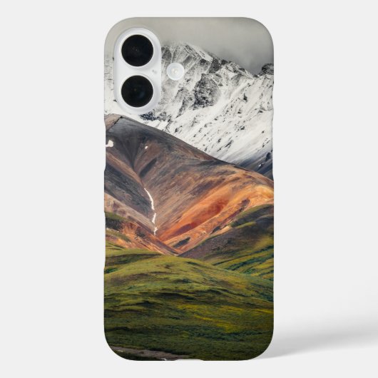 Polychrome-Berg, Denali NP, Alaska Case-Mate iPhone Hülle (Rückseite)