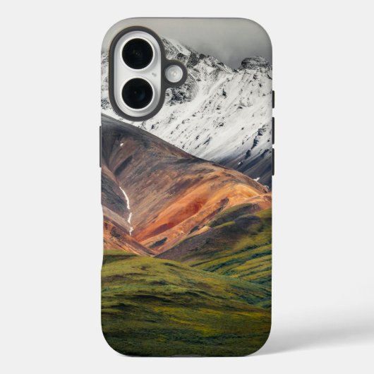 Polychrome-Berg, Denali NP, Alaska Case-Mate iPhone Hülle (Rückseite)