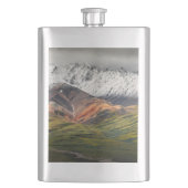 Polychrome-Berg, Denali NP, Alaska Flachmann (Vorderseite)