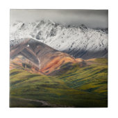 Polychrome-Berg, Denali NP, Alaska Fliese (Vorderseite)