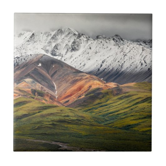 Polychrome-Berg, Denali NP, Alaska Fliese (Vorderseite)