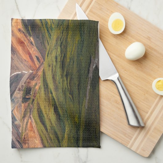 Polychrome-Berg, Denali NP, Alaska Geschirrtuch (Viertel Falte)