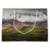 Polychrome-Berg, Denali NP, Alaska Große Geschenktüte (Vorderseite)