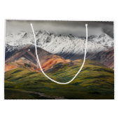 Polychrome-Berg, Denali NP, Alaska Große Geschenktüte (Rückseite)