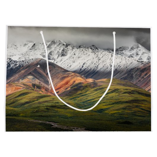 Polychrome-Berg, Denali NP, Alaska Große Geschenktüte (Rückseite)