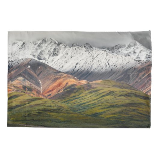 Polychrome-Berg, Denali NP, Alaska Kissenbezug (Rückseite)