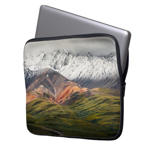 Polychrome-Berg, Denali NP, Alaska Laptopschutzhülle (Vorderseite Links)