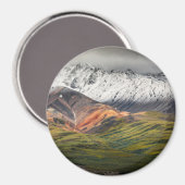 Polychrome-Berg, Denali NP, Alaska Magnet (Vorderseite/Rückseite)