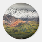 Polychrome-Berg, Denali NP, Alaska Magnet (Vorne)