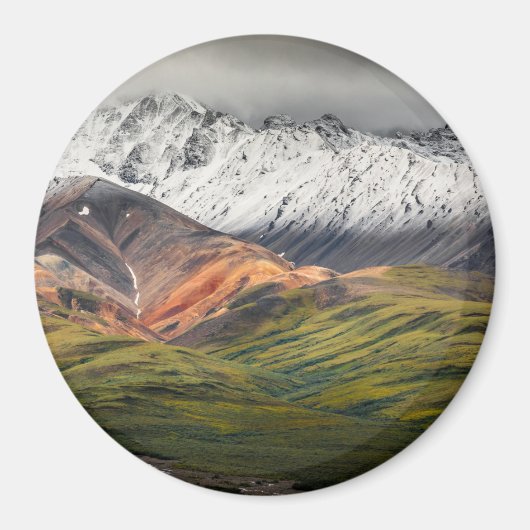 Polychrome-Berg, Denali NP, Alaska Magnet (Vorne)