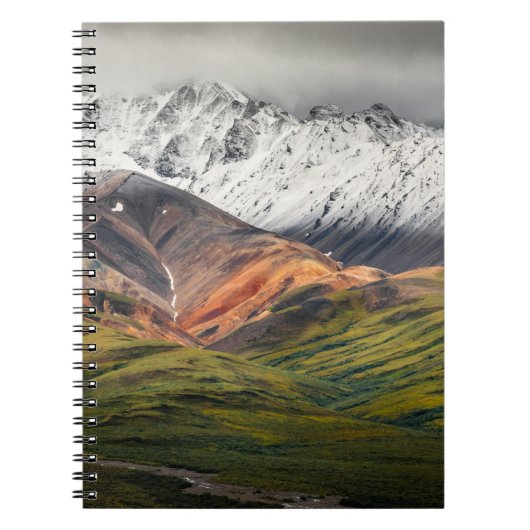 Polychrome-Berg, Denali NP, Alaska Notizblock (Vorderseite)