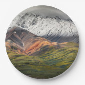 Polychrome-Berg, Denali NP, Alaska Pappteller (Vorderseite)