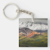 Polychrome-Berg, Denali NP, Alaska Schlüsselanhänger (Vorderseite)