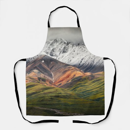 Polychrome-Berg, Denali NP, Alaska Schürze (Vorderseite)