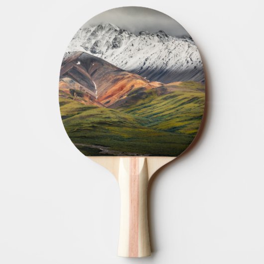 Polychrome-Berg, Denali NP, Alaska Tischtennis Schläger (Rückseite)