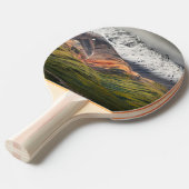 Polychrome-Berg, Denali NP, Alaska Tischtennis Schläger (Vorderseite)