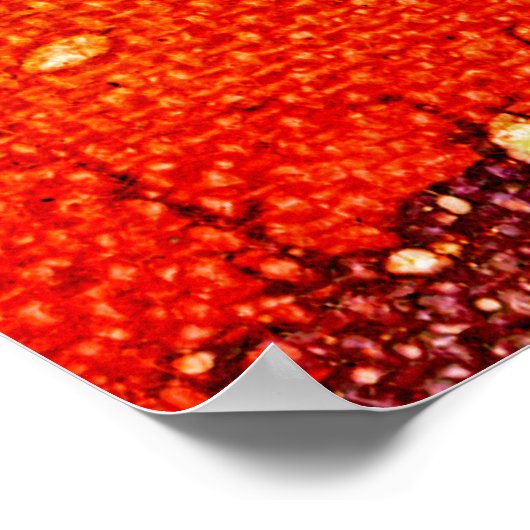 Polychromoptik #3 von Michael Moffa Poster (Ecke)