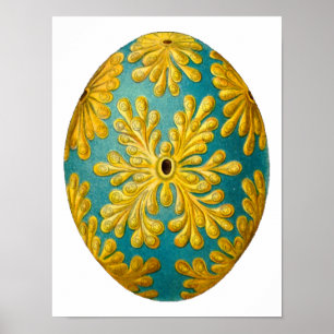 Polyclinum constellatum Ernst Haeckel-schöne Kunst Poster