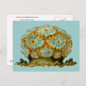Polycyclus cyaneus Ernst Haeckel Kunst Postkarte (Vorne/Hinten)