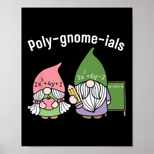Polygnomeials Math Teacher Poster (Vorne)