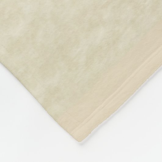 Polygon-Mosaik-Pergament-Karte DELAWARE Fleecedecke (Ecke)