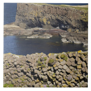 Polygonales Basalt, Staffa, vor Isle of Mull, Fliese