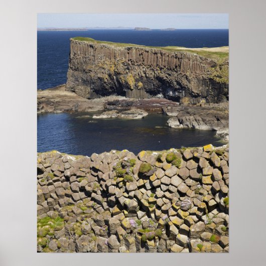 Polygonbasalt, Staffa, vor der Insel Mull, Poster (Vorne)