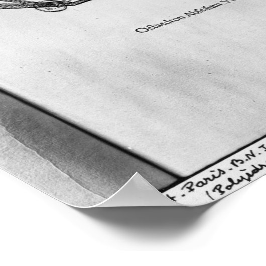 Polyhedron aus "De Divina Proportione" Poster (Ecke)