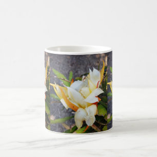 POLYNESIAN DRAGON CACTUS NIGHBLOOM KAFFEETASSE