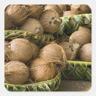 Polynesien, Königreich Tonga. Anzeige von Kokosn Quadratischer Aufkleber