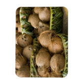 Polynesien, Königreich Tonga. Anzeige von Kokosnüs Magnet (Vertikal)