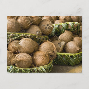 Polynesien, Königreich Tonga. Anzeige von Kokosnüs Postkarte