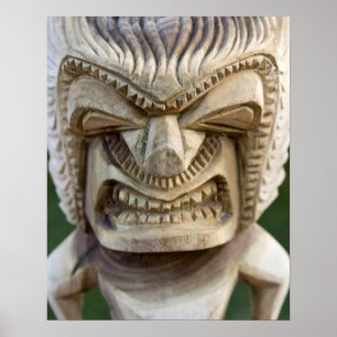 Polynesien, Königreich Tonga. Nahaufnahme eines Ti Poster