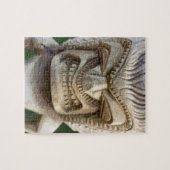 Polynesien, Königreich Tonga. Naher Aufstieg von T Puzzle (Horizontal)