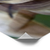 Polynesien, Königreich Tonga. Nahes Tipi Poster (Ecke)