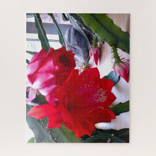 POLYNESISCHE DRAGON CACTUS-NIGHT-BLOOM-Puzzle Puzzle (Vertikal)