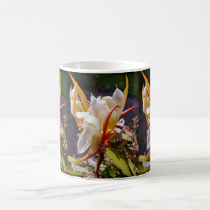 POLYNESISCHER DRACHENKAKTUS NACHTBLÜTE KAFFEETASSE