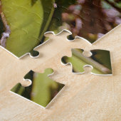 POLYNISIAN DRAGON CACTUS NIGHBLOOM PUZZLE (Seite)