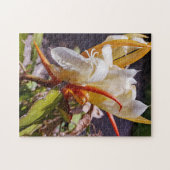 POLYNISIAN DRAGON CACTUS NIGHBLOOM PUZZLE (Horizontal)