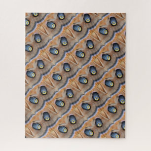 Polyphemus Moth Abstrakt Puzzle