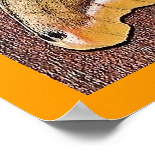 Polyphemus Moth Poster (Ecke)