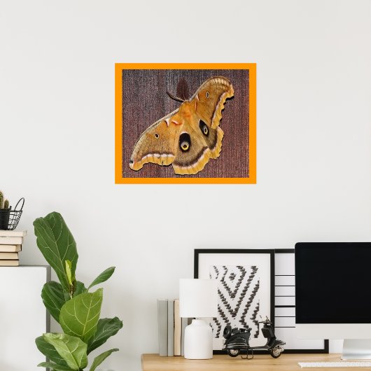 Polyphemus Moth Poster (Heimbüro)