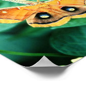 Polyphemus Moth Poster (Ecke)