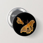 Polyphemus Motten Button (Vorne & Hinten)