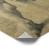 Polyphemus Poster (Ecke)