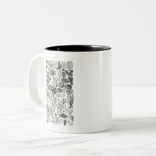 Polypi Zweifarbige Tasse (Vorderseite Links)