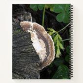 Polypore Fungus auf Baumstumpf Notizblock (Rückseite)