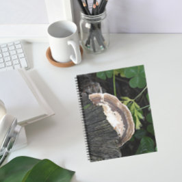 Polypore Fungus auf Baumstumpf Notizblock